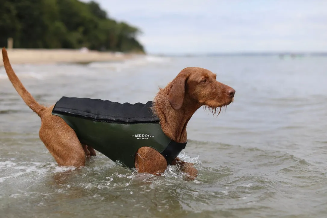 Active Dog Coat - Green