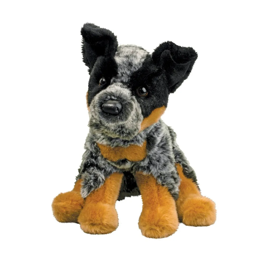 Dexter Australian Cattle Dog | Douglas