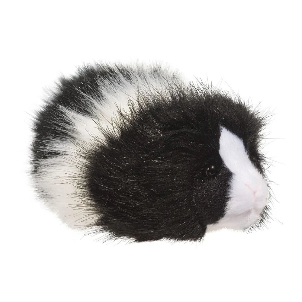 Douglas Angora Guinea Pig