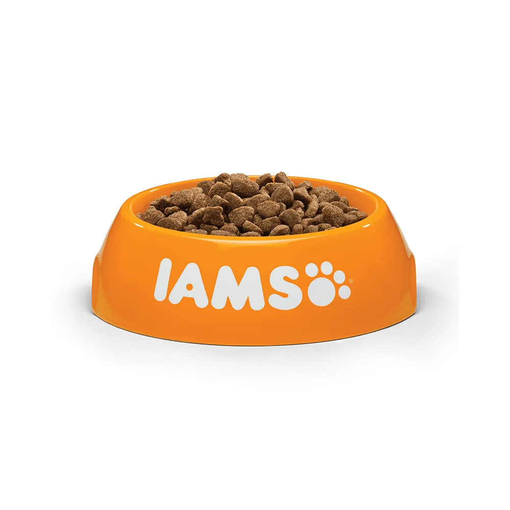 Iams Adult Vitality Dry Cat Food with Ocean Fish