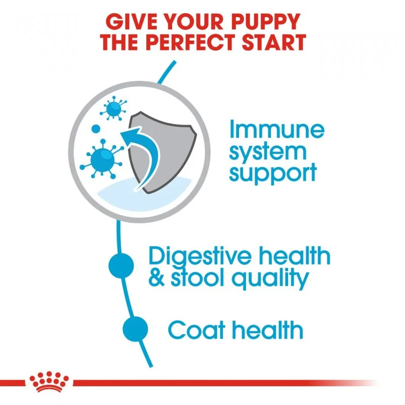 Royal Canin Mini Indoor Puppy Dry Dog Food