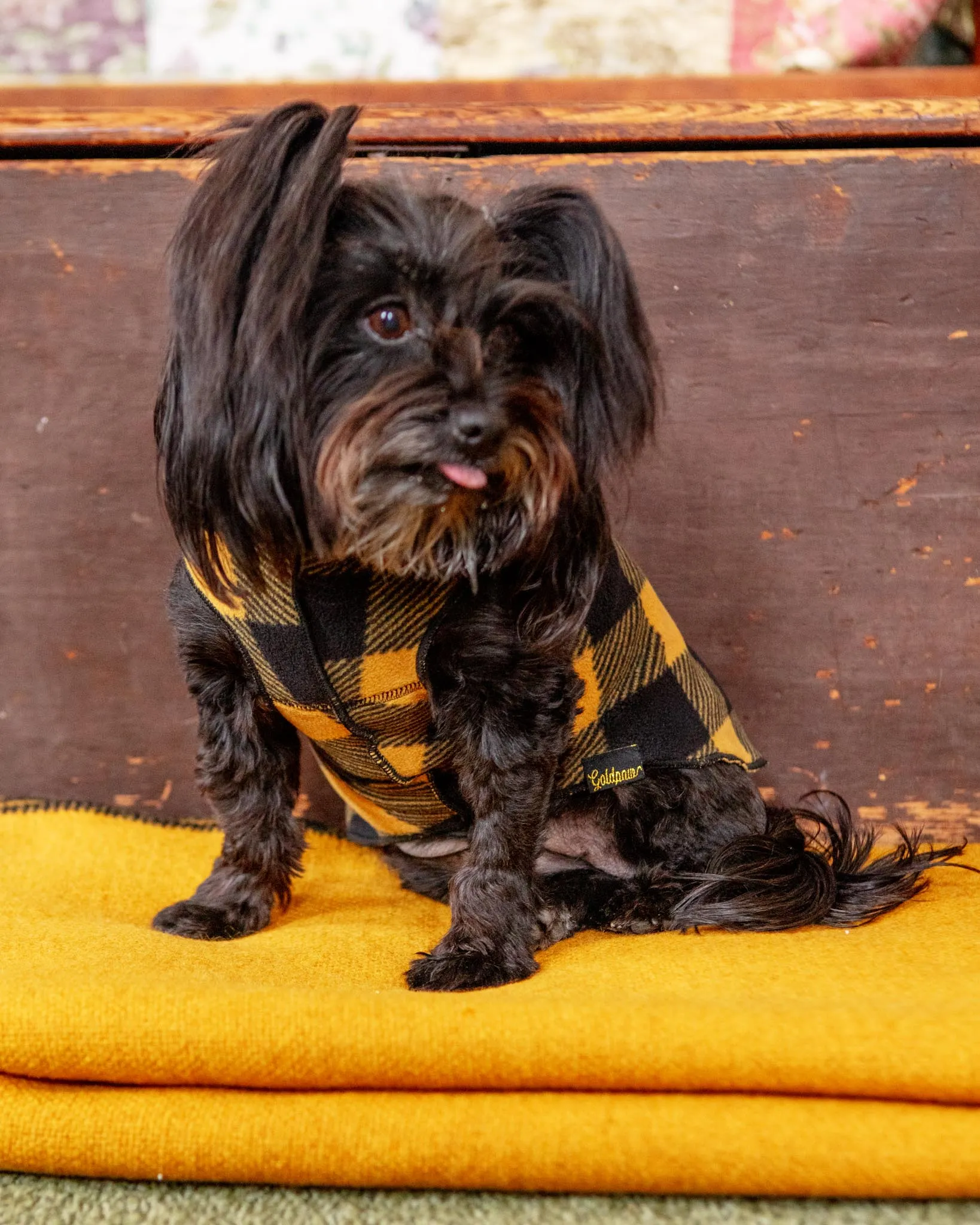 Stretch Fleece Pullover in Yellow Buffalo Plaid (Made in the USA)