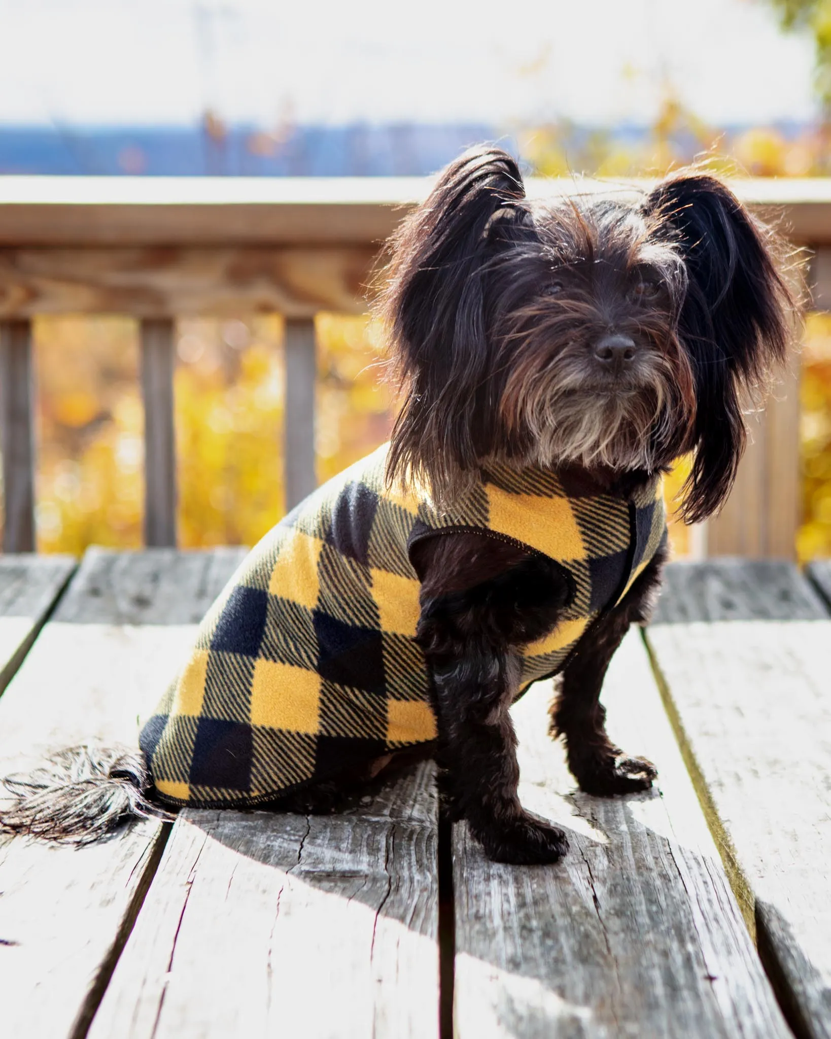 Stretch Fleece Pullover in Yellow Buffalo Plaid (Made in the USA)