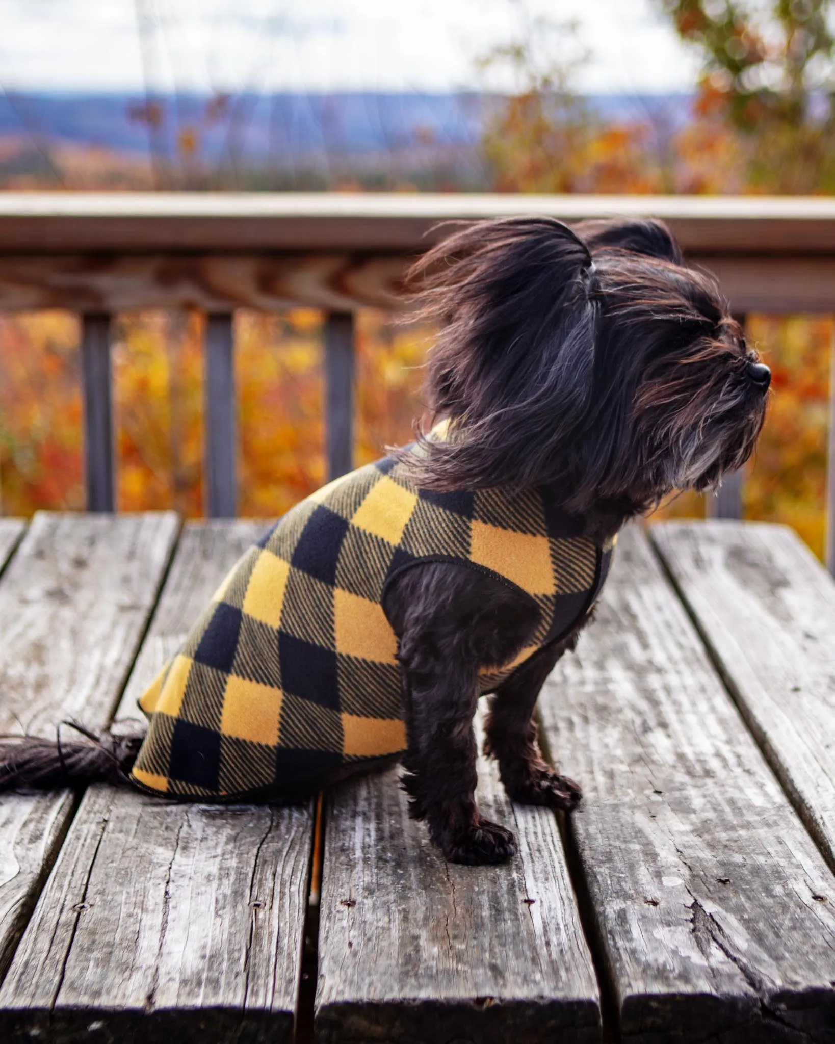 Stretch Fleece Pullover in Yellow Buffalo Plaid (Made in the USA)